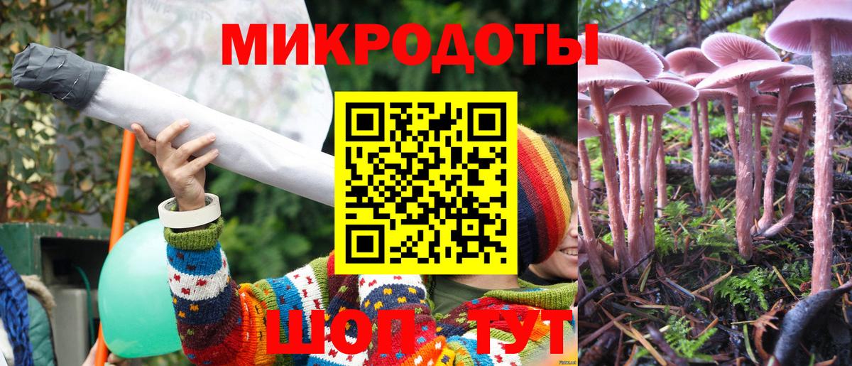 Галлюциногенные грибы мухоморы  Вход с VPN  Гусев  Галлюциногенные грибы GOLDEN TEACHER 