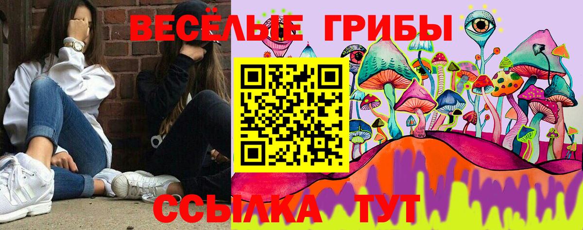 ГАШИШ  Марихуана  Гусев  Альфа ПВП СК кристаллы  Вход с VPN  Меф МЯУ МЯУ   Лсд 25 